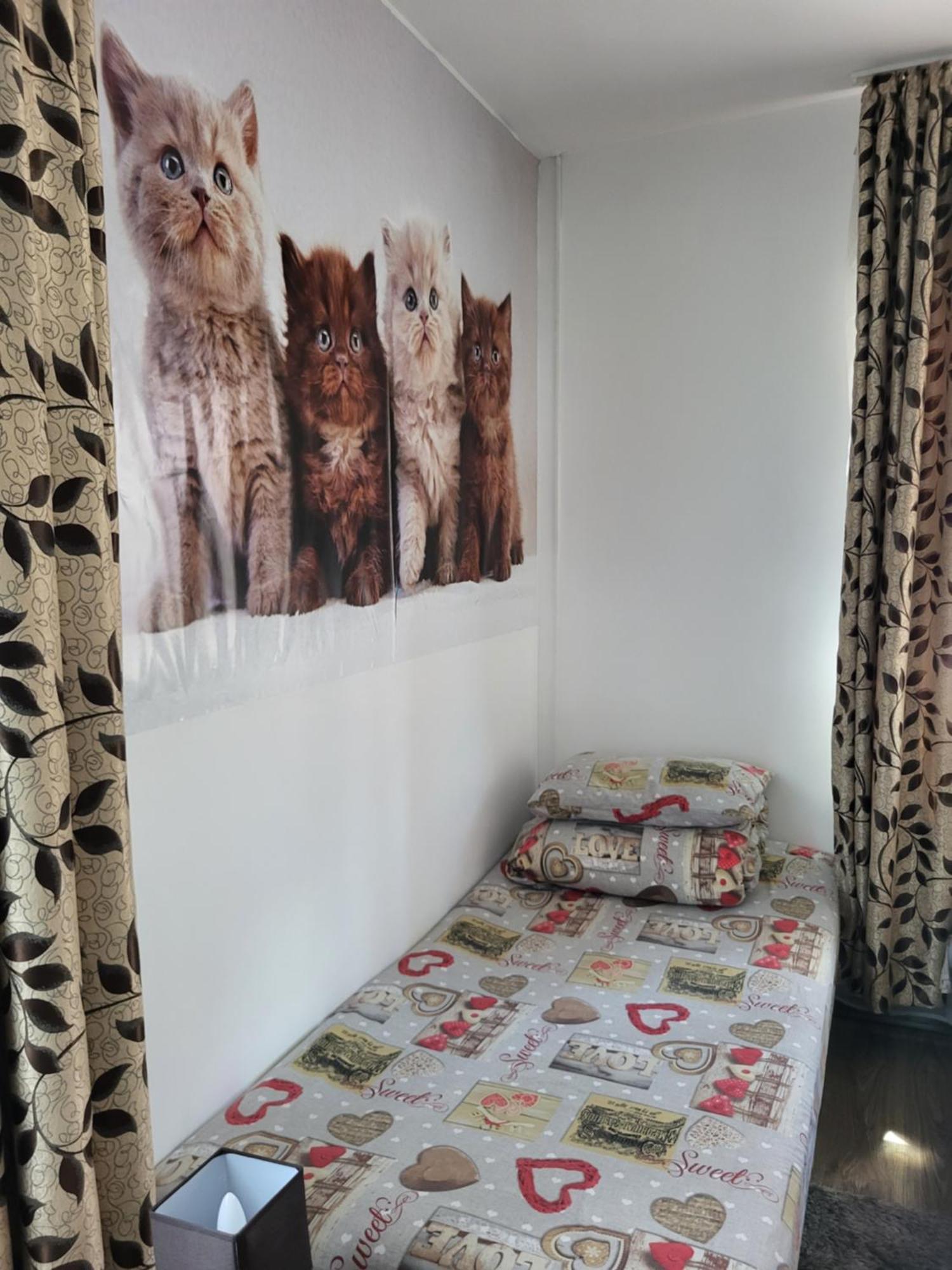 Casa Raraului Villa Câmpulung Moldovenesc Dış mekan fotoğraf