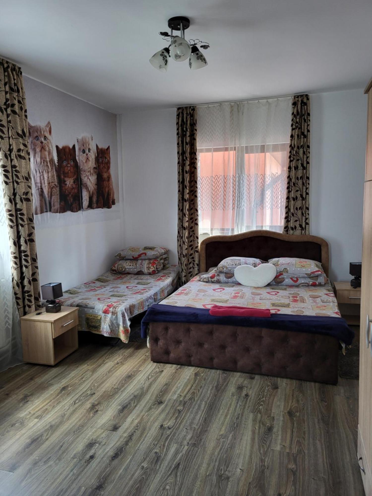 Casa Raraului Villa Câmpulung Moldovenesc Dış mekan fotoğraf